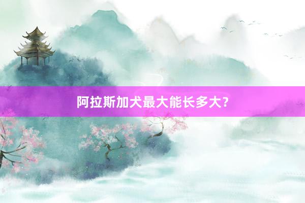 阿拉斯加犬最大能长多大?